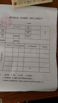 代课教师养老保险，全面解读与实用指南