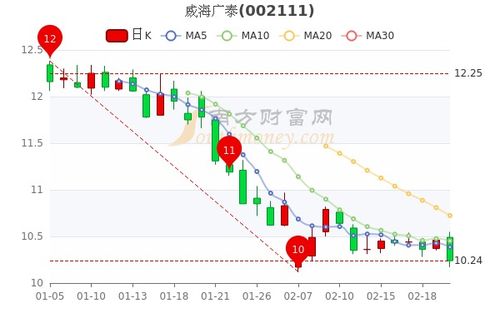 深入解析威海广泰股票，投资机会与风险分析