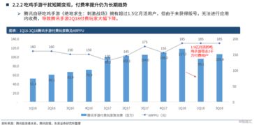 投资机遇与风险解析