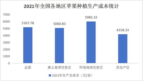 价值评估与投资分析