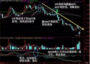 轻松读懂聚龙股份股票行情，掌握投资新机遇