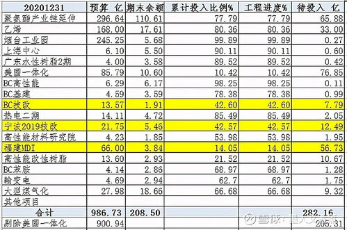 深入解读股票600309，万华化学的投资价值与风险分析