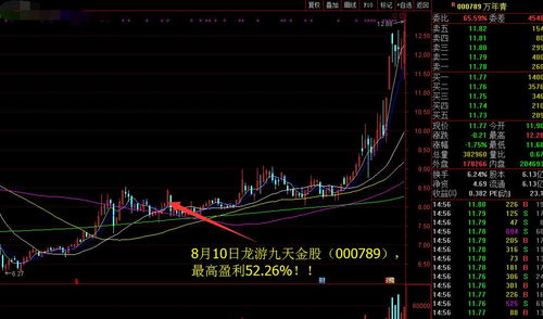 深入了解丽珠集团股票，投资机会与前景分析