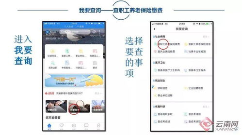 职工养老保险查询网，轻松掌握养老保障，安享晚年无忧