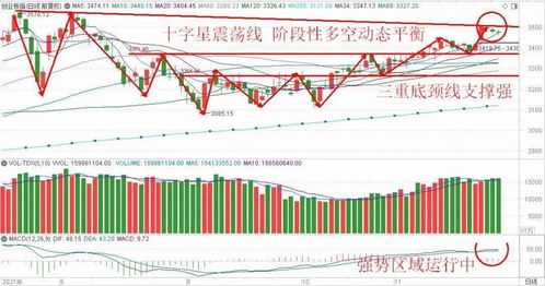 深入解读601106股票，投资机会与风险分析