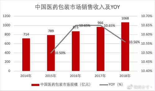 深入解析002504股票，投资潜力与风险评估