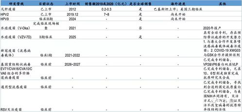 深入解析002504股票，投资潜力与风险评估