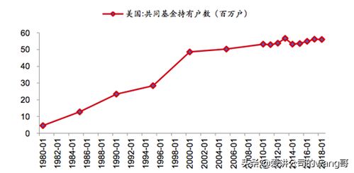 深入解析002504股票，投资潜力与风险评估