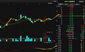 深入解析002407股票的投资潜力与风险