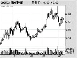 深入解析海虹控股，探索其发展历程、业务模式及未来前景