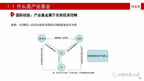 深度解析与投资策略