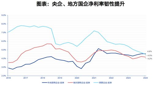 深入解析300046股票，潜力与风险并存的投资选择